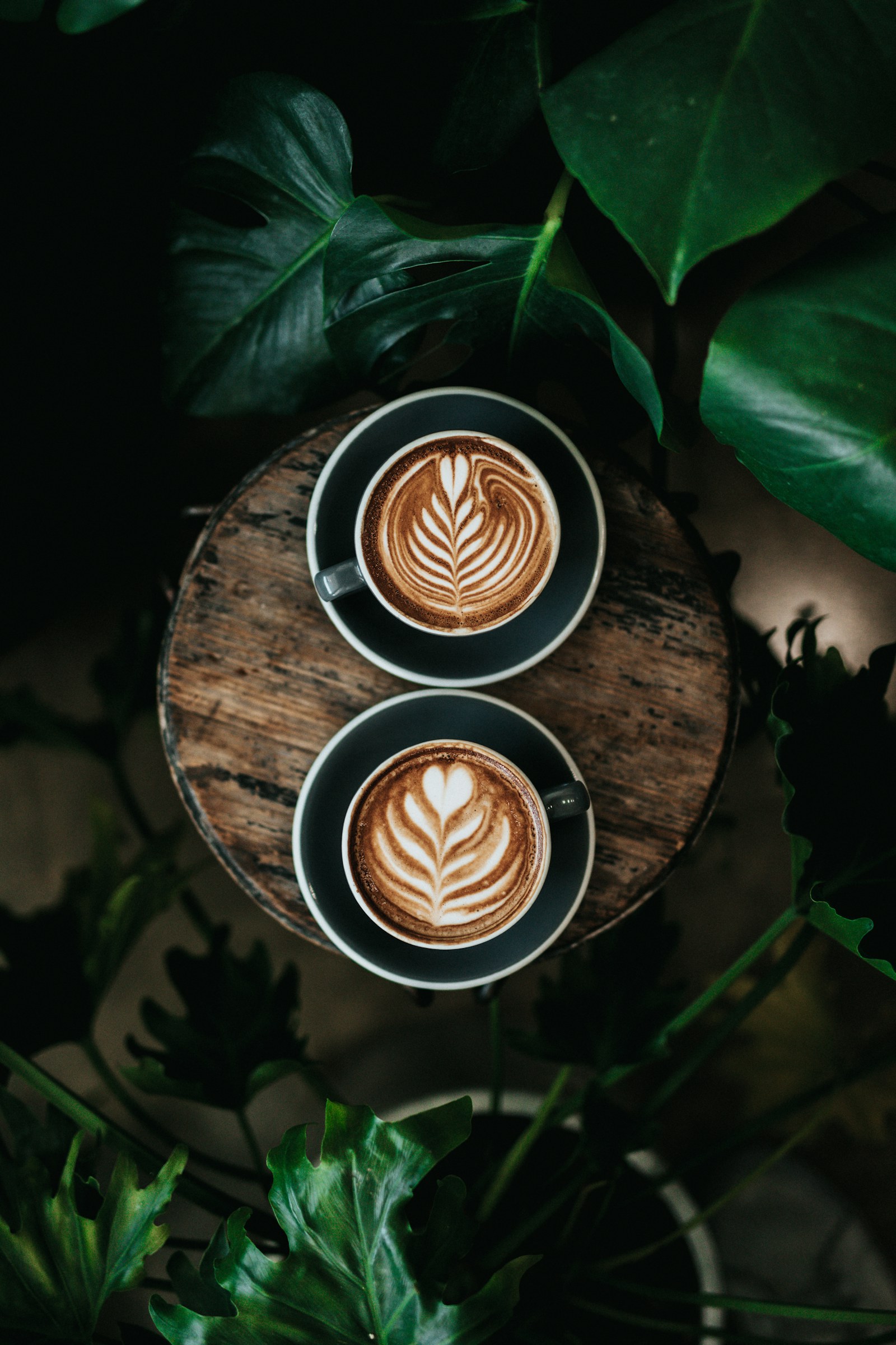 Kraeftiger Kaffee in dunkler Tasse als Symbol fuer intensiven Espresso